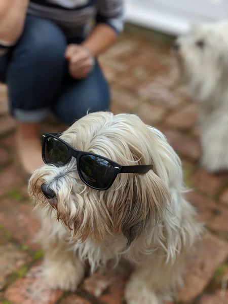 Polarized Unisex Sunglasses